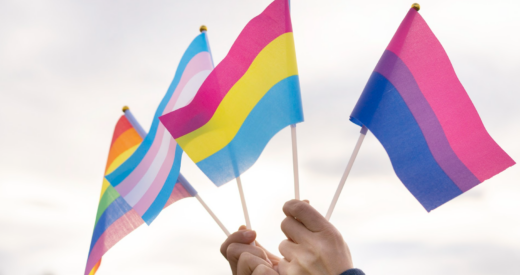 hand holding pansexual pride flag alongside hands holding other pride flags