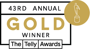 43rd annual gold winner for the telly awards logo